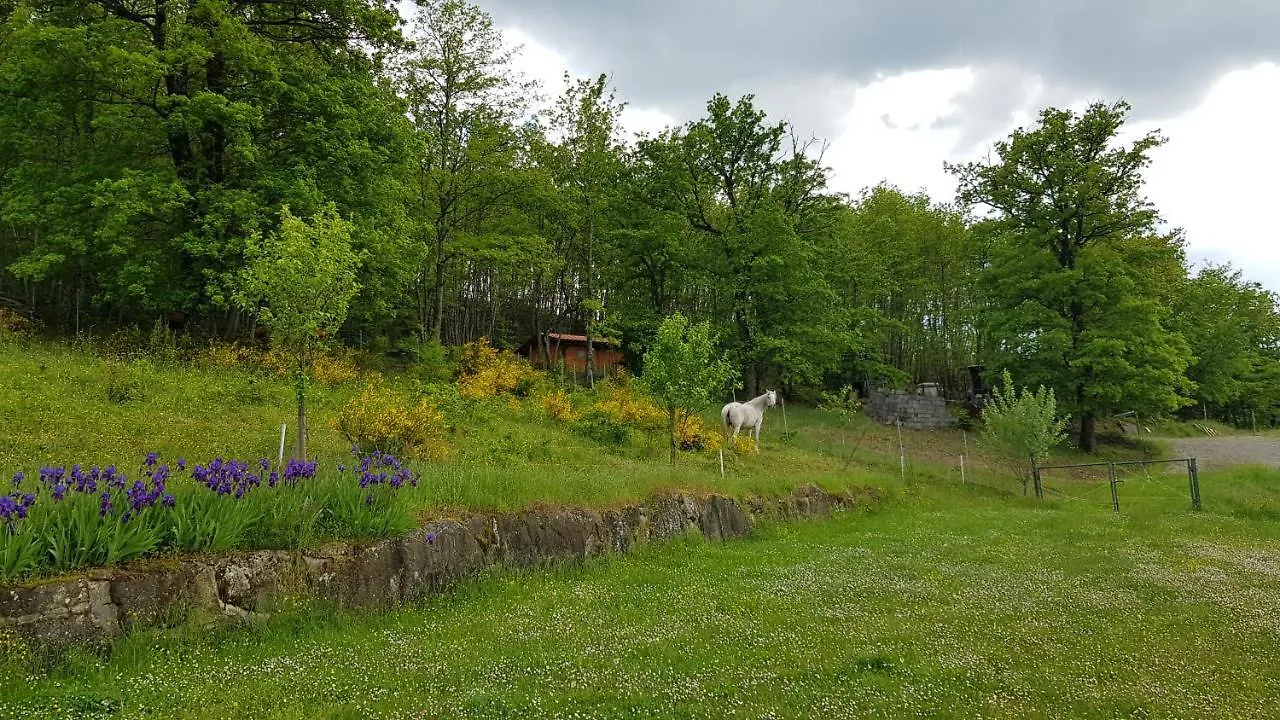 Bed & Breakfast Agriturismo Casenuove Bagno di Romagna